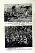 Original Old Vintage Print C1920 Bullocks Yoked Wagons Argentine Frigorificos