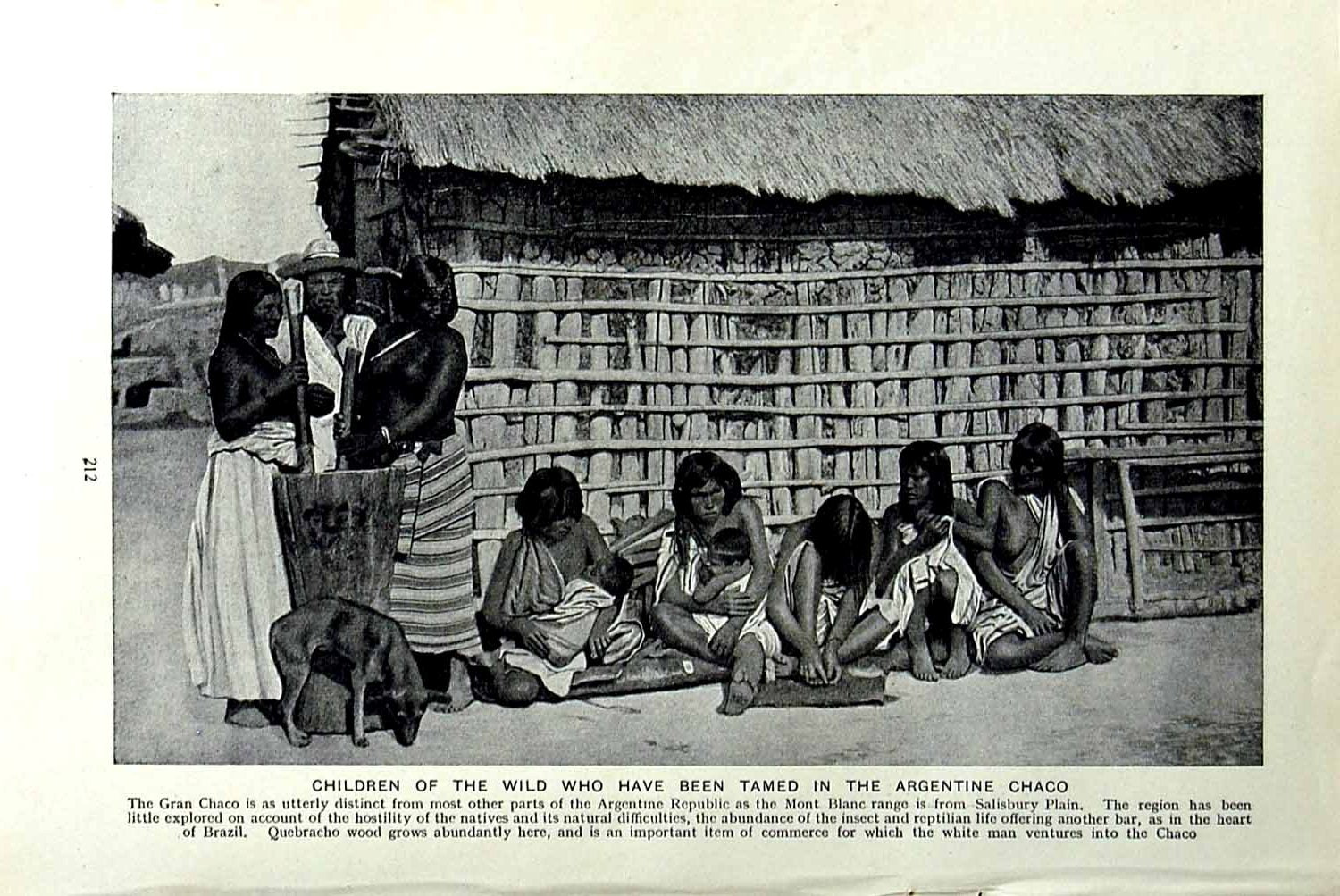 Original Old Vintage Print C1920 Children Wild Argentine Chaco Argentine Brazil