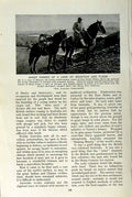 Original Old Vintage Print C1920 Sheep Farmer Mountains Monaro Australia Horses