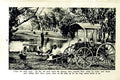Original Old Vintage Print C1920 Wool Drovers Horses Camp Billy Australia Trees