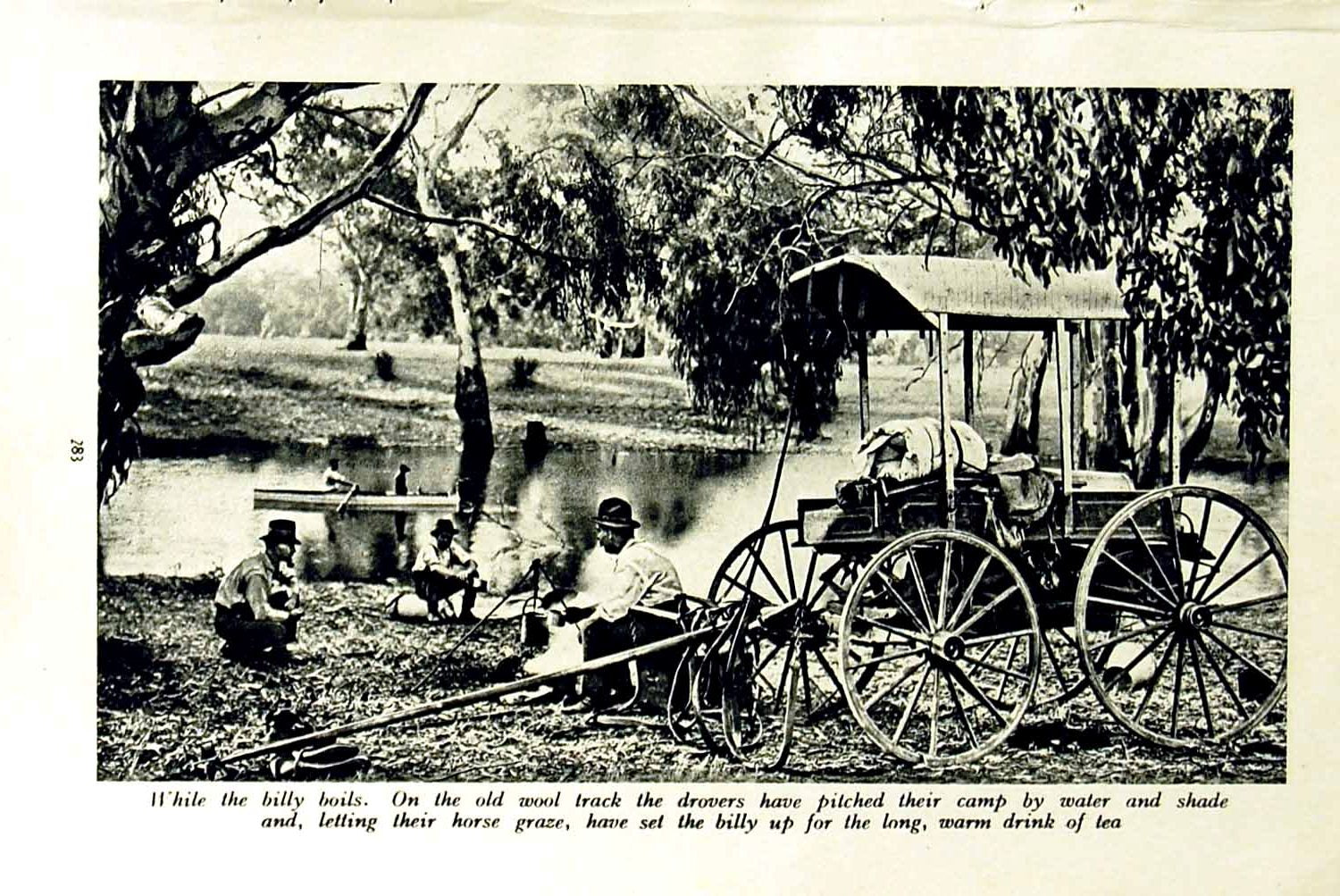 Original Old Vintage Print C1920 Wool Drovers Horses Camp Billy Australia Trees