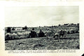 Original Old Vintage Print C1920 Australia Farmer Harvest Horses Wheat Pollen