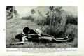 Original Old Vintage Print C1920 Good Wizard Kakadu Tribe Aboriginies Australia