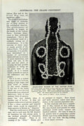 Old Vintage Print C1920 Australia Grass-Seed Wizard Kaitish Aboriginies 20th