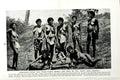 Old Vintage Print C1920 Frizzy-Haired Women Girls Tropic Bush Australia 20th