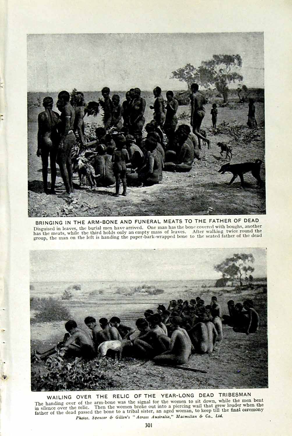 Original Old Vintage Print C1920 Australia Funeral Meats Tribesmen Pipeclay