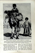 Original Old Vintage Print C1920 Nomad Tartar Camelman Market Caucasian Baku