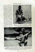 Old Vintage Print C1920 Congo Cannibal Ivory Mangbettu Horn Pygmy Hunters 20th