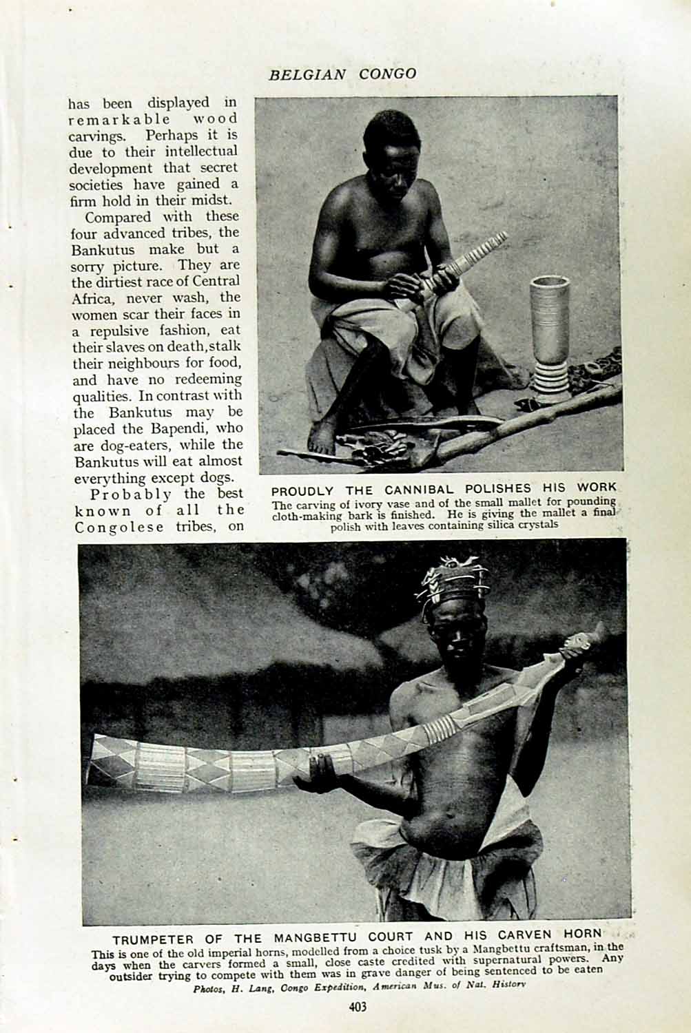 Old Vintage Print C1920 Congo Cannibal Ivory Mangbettu Horn Pygmy Hunters 20th