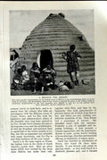 Original Old Vintage Print C1920 Beehive Drones Indian Bolivia Family Potosi