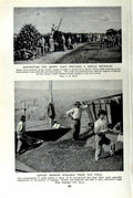 Original Old Vintage Print C1920 Harvesting Coffee Berries Brazil Plantation