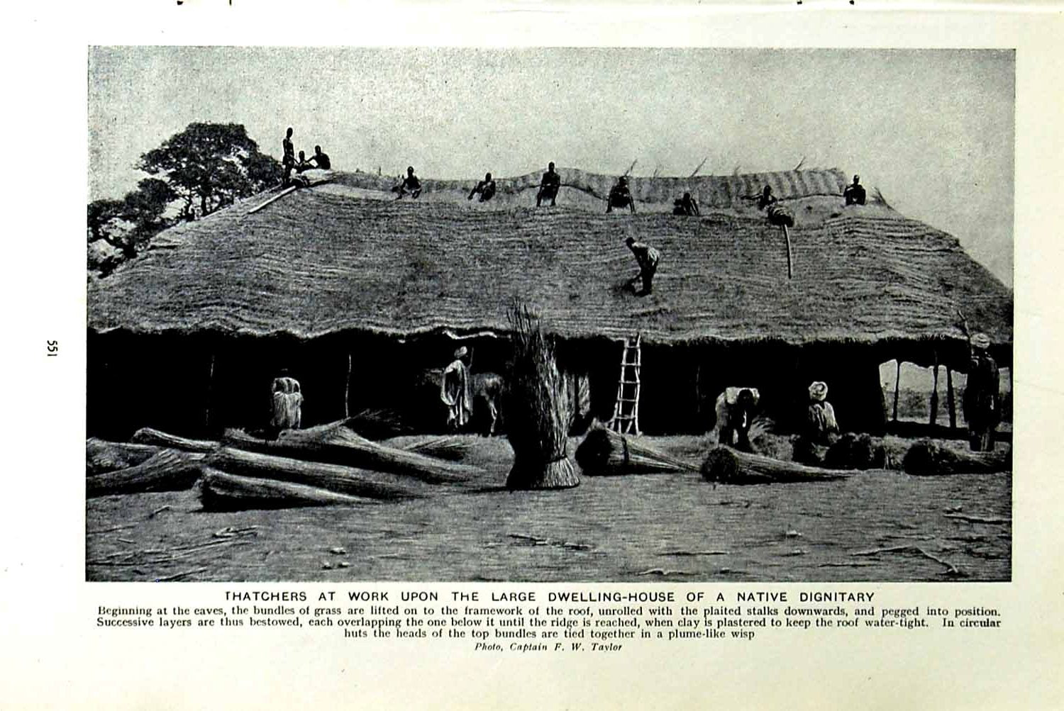 Original Old Vintage Print C1920 House Thatchers Eaves Africa Paladin Horse