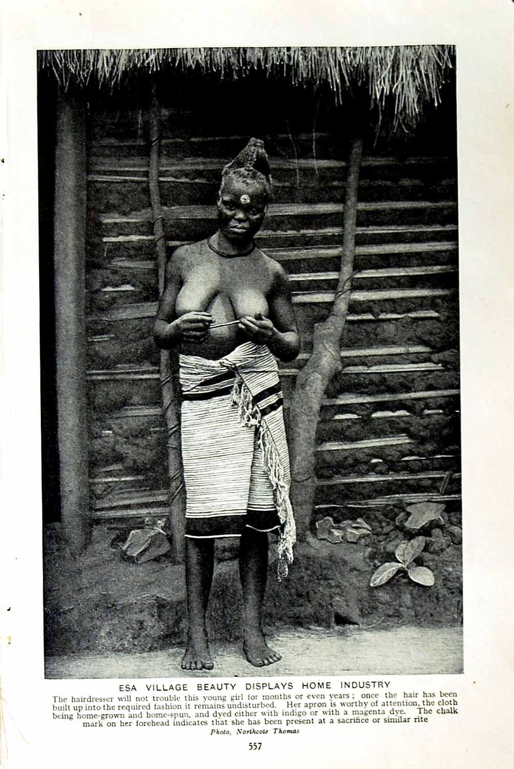 Old Vintage Print C1920 Esa Woman Hairdresser Hausa Woman Trader Africa 20th