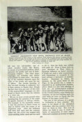 Old Vintage Print C1920 Benin Erstwhile Africa City Blood Cercopithecus 20th