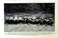 Original Old Vintage Print C1920 Bundu Initiates Mendi Singing Chant Mendiland