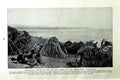 Old Vintage Print C1920 Reed-Built Village Great Lake Tanganyika Africa 20th
