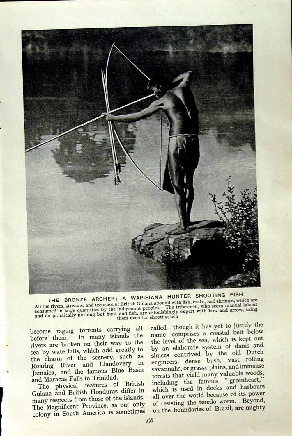 Original Old Vintage Print C1920 Archer Wapisiana Hunter Fish Kingston Jamaica