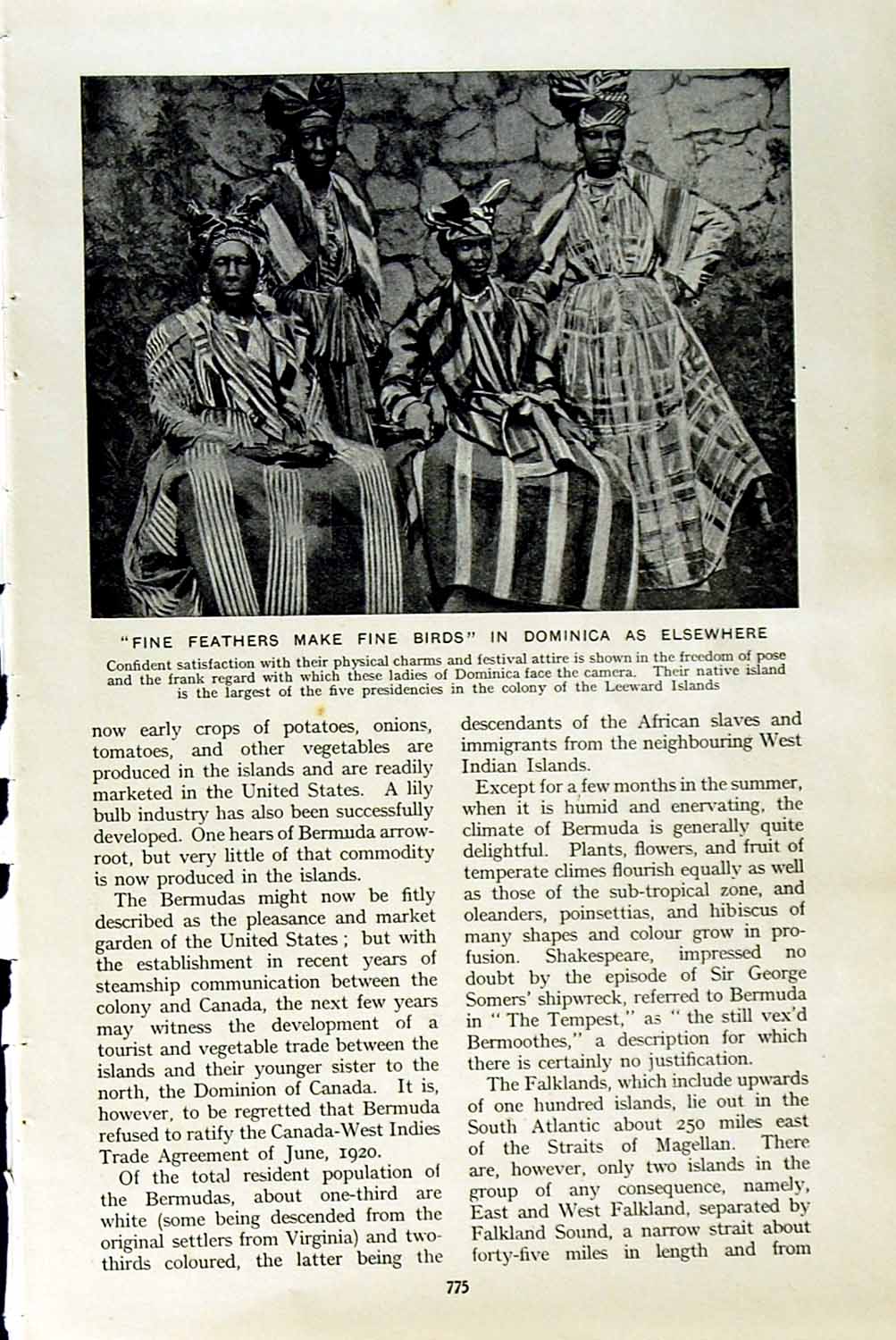 Original Old Vintage Print C1920 Ladies Dominica Leeward Islands George Grenada