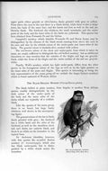 Original Old Antique Print Natural History 1893-94 Black-Bellied Monkey Pluto