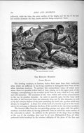 Original Old Antique Print Natural History 1893-94 Black-Headed Uakari Monkey