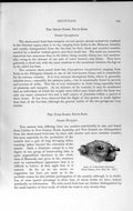 Original Old Antique Print Natural History 1893-94 Head Tube-Nosed Fruit Bat