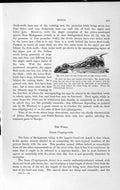 Original Old Antique Print Natural History 1893-94 Upper Jaw Indian Civet Fossa