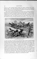 Original Old Antique Print Natural History 1893-94 Hunting Dogs Chasing Gemsbok