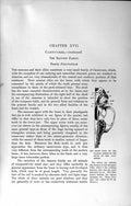 Original Old Antique Print Natural History 1894 Palatal Skull Caco-Mistle 19th