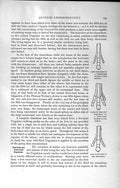 Old Antique Print Natural History 1894 Foot Bones Horse-Like Animal Deer 19th