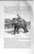 Original Old Antique Print Natural History 1894 Scene Elephant Stacking Timber