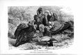 Original Old Antique Print European Vultures Birds Prey Natural History 1895