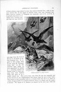 Original Old Antique Print Natural History 1895 Condors Guanaco Vultures Birds