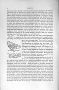 Original Old Antique Print Natural History 1896 Fore-Wing Noctua Moth Insects
