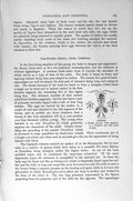Original Old Antique Print Natural History 1896 Crustaceans Fish-Lice Copepods