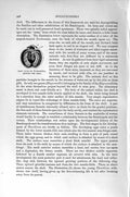 Original Old Antique Print Natural History 1896 Back Valve Terebratulina Arms