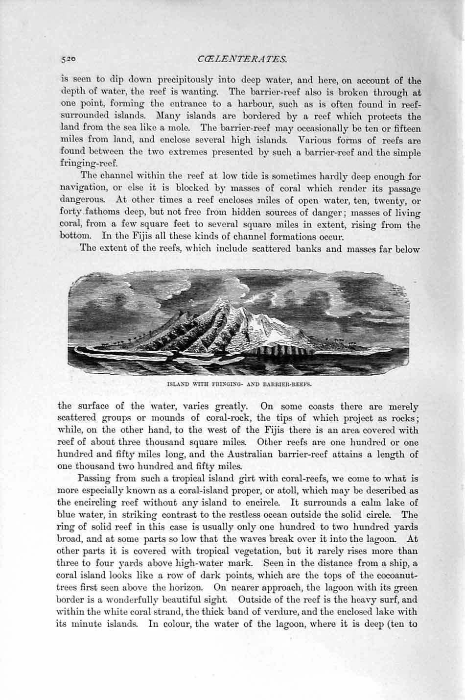 Original Old Antique Print Natural History 1896 Island Fringing Barrier-Reefs