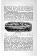 Old Antique Print Natural History 1896 Coral Island Atoll Coelenterates 19th