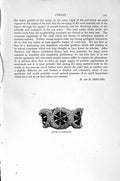 Old Antique Print Natural History 1896 Bread-Crumb Sponge Oscules Coral 19th