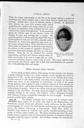 Original Old Antique Print Natural History 1896 Common Bath Sponge Embryo Water