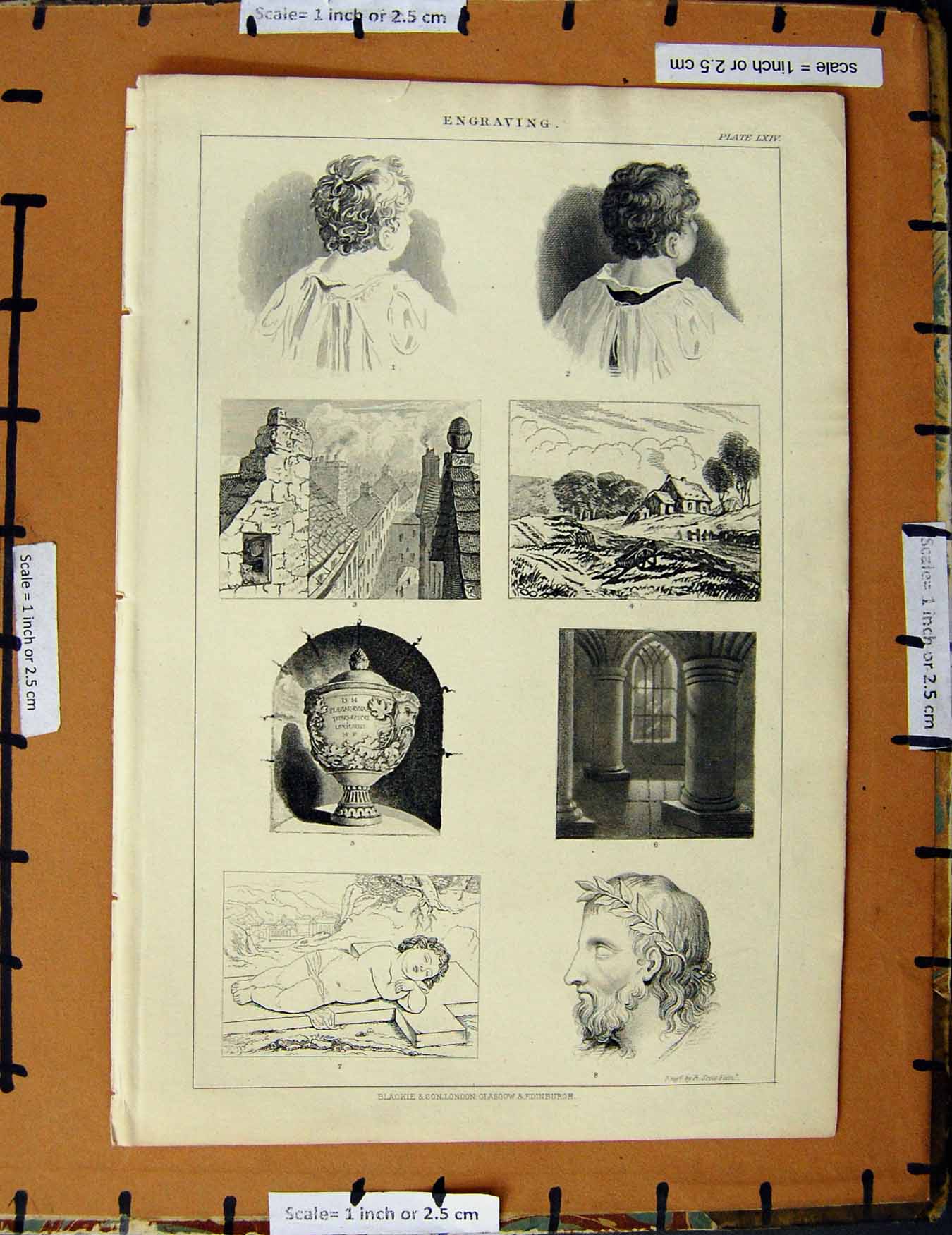 Original Old Antique Print C1800-1870 Engraving Pictures Blackie 19th Century