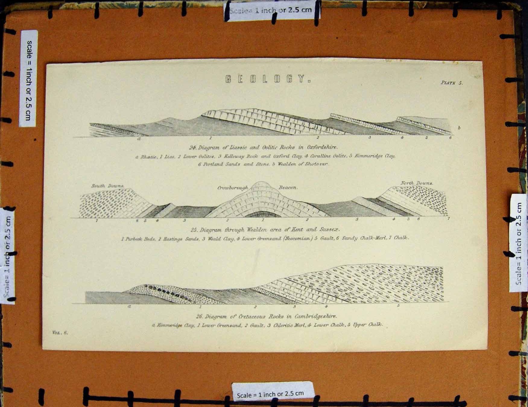 Original Old Antique Print C1800-1870 Geology Cretaceous Rocks Napoleonic Era