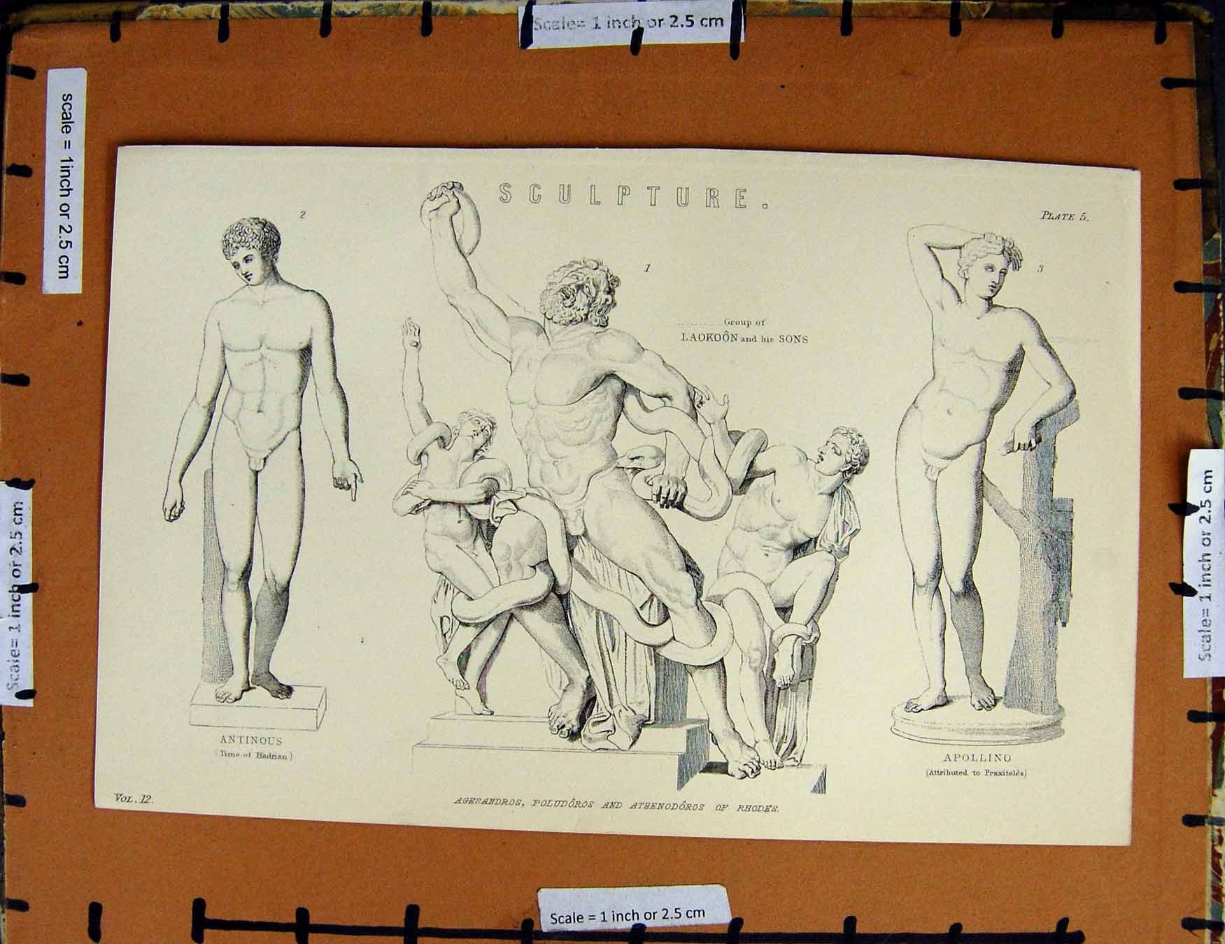 Original Old Antique Print C1800-1870 Sculpture Statues Apollino 19th Century
