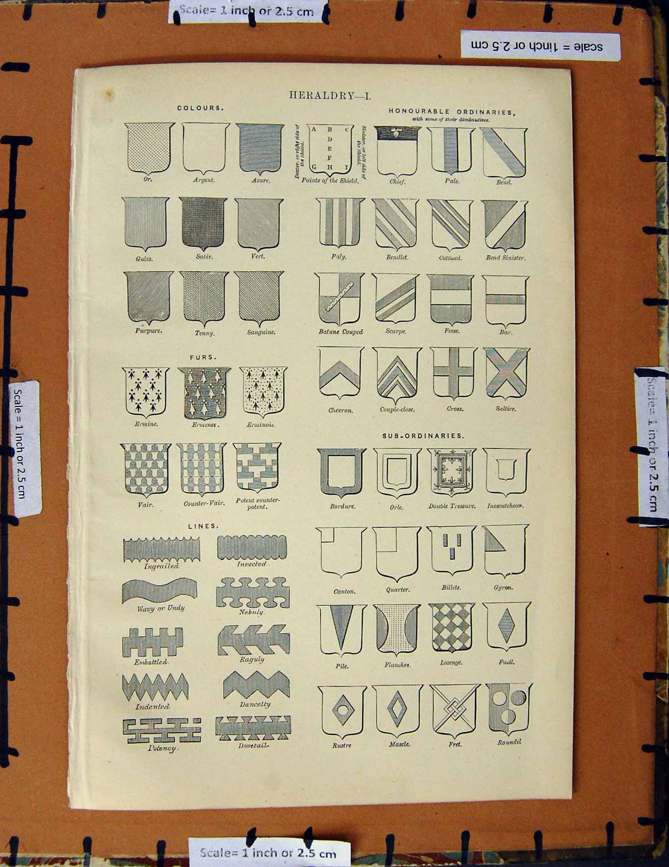 Original Old Antique Print C1800-1870 Heraldry Ordinaries Lines Furs 19th