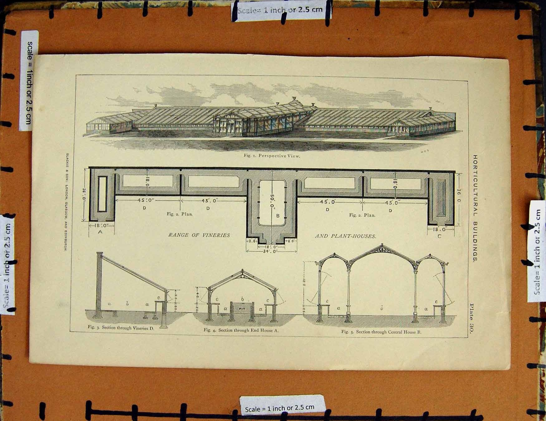 Original Old Antique Print C1800-1870 Horticultural Buildings Vineries 19th