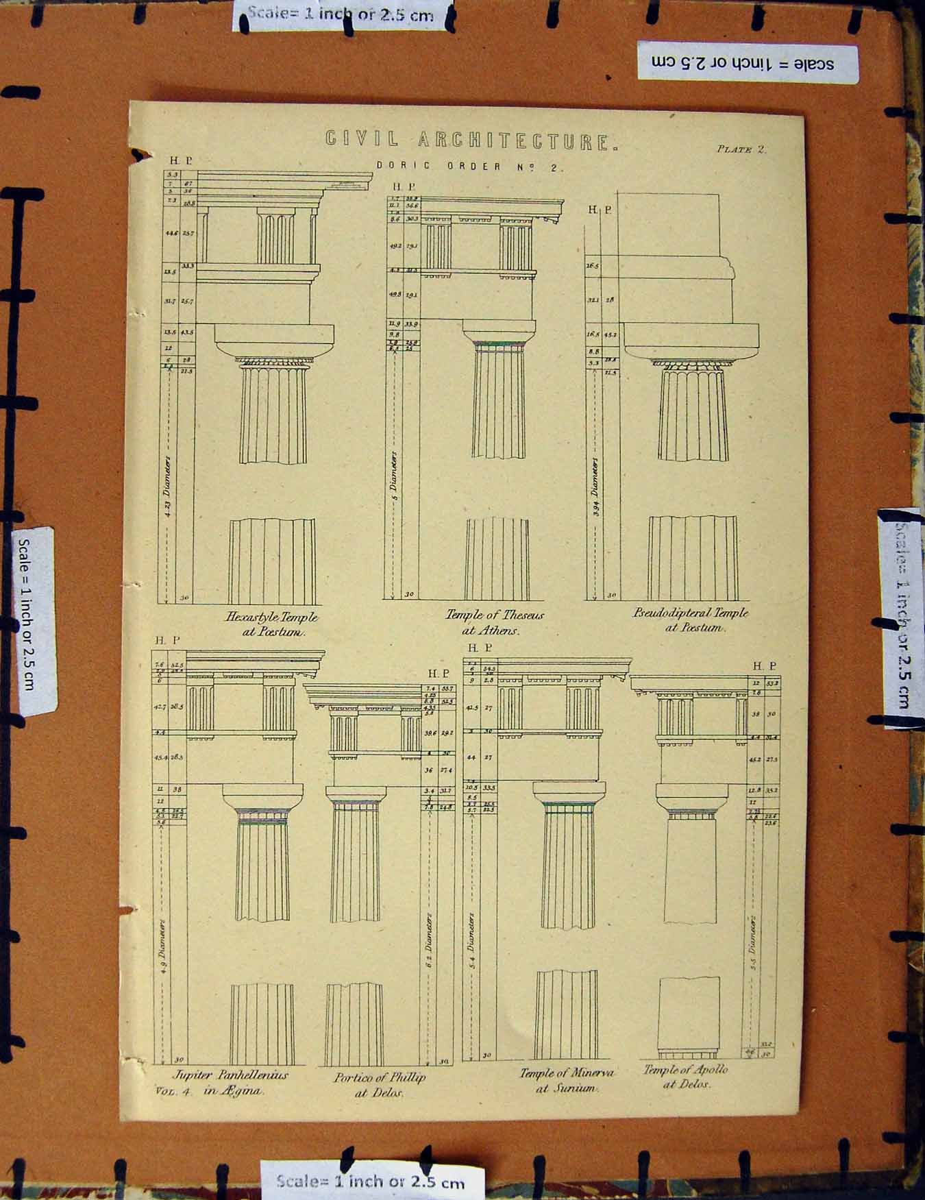 Original Old Antique Print C1800-1870 Architecture Temple Phillip 19th Century
