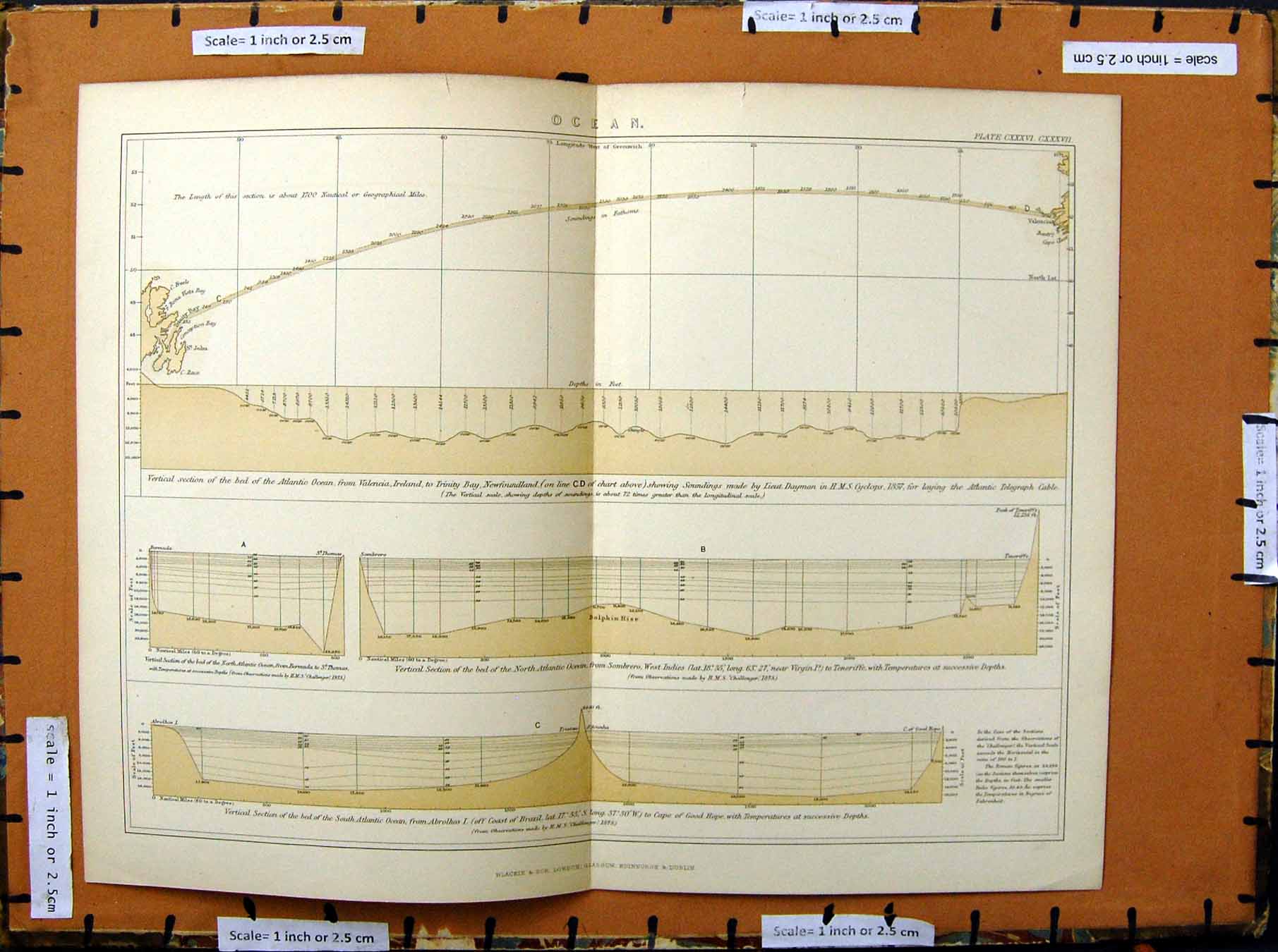 Original Old Antique Print C1800-1870 Atlantic Ocean Brazil Temperature 19th