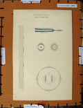 Original Old Antique Print C1800-1870 Acoustics Sound Wave Tuning 19th Century