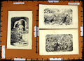 Original Old Antique PrintC1790-C1940 Theatre Androcles Lion Drury Lane