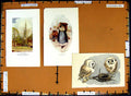 Original Old Antique PrintC1790-C1940 Salisbury Spire Owl Herring Fish
