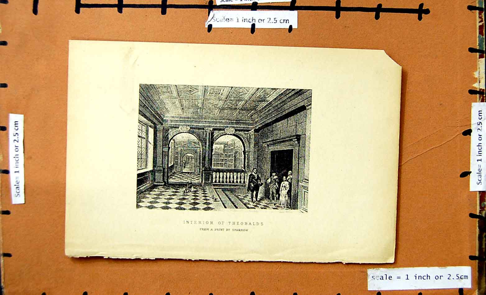 Original Old Antique Print Interior Theobalds Architecture Sparrow